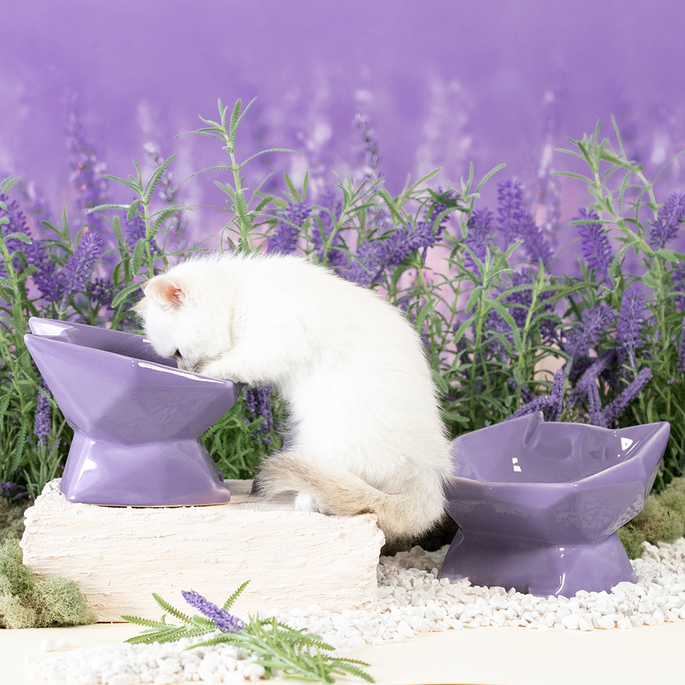 lavanda