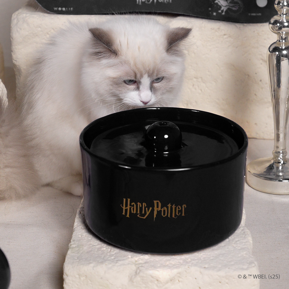 fonte de água lufa-lufa