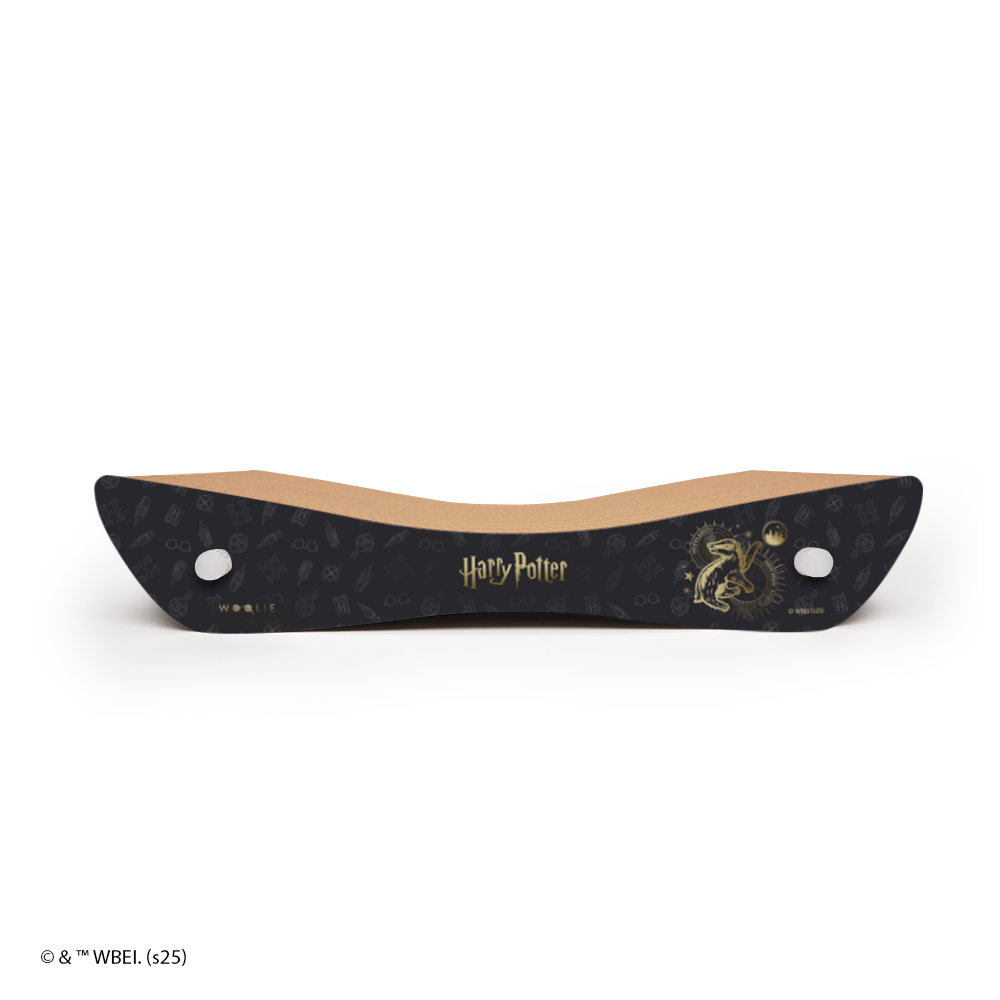 Harry Potter - Arranhador