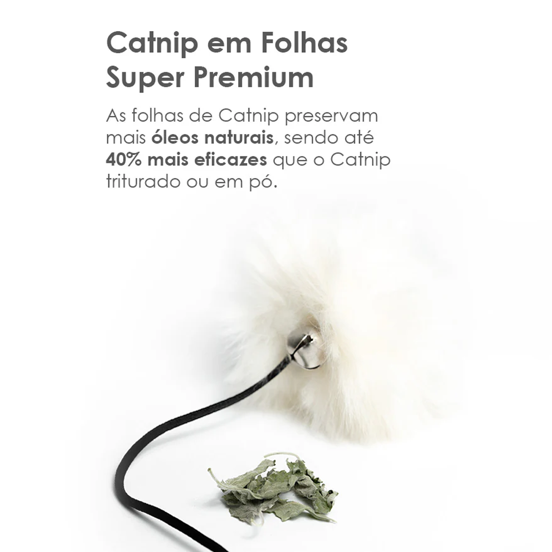 Pompom com Catnip em Folhas