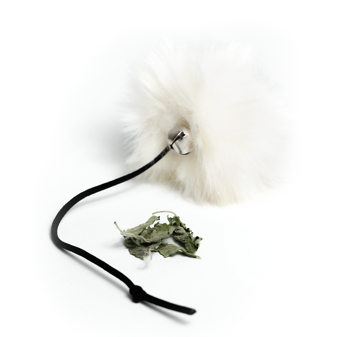 Pompom com Catnip em Folhas