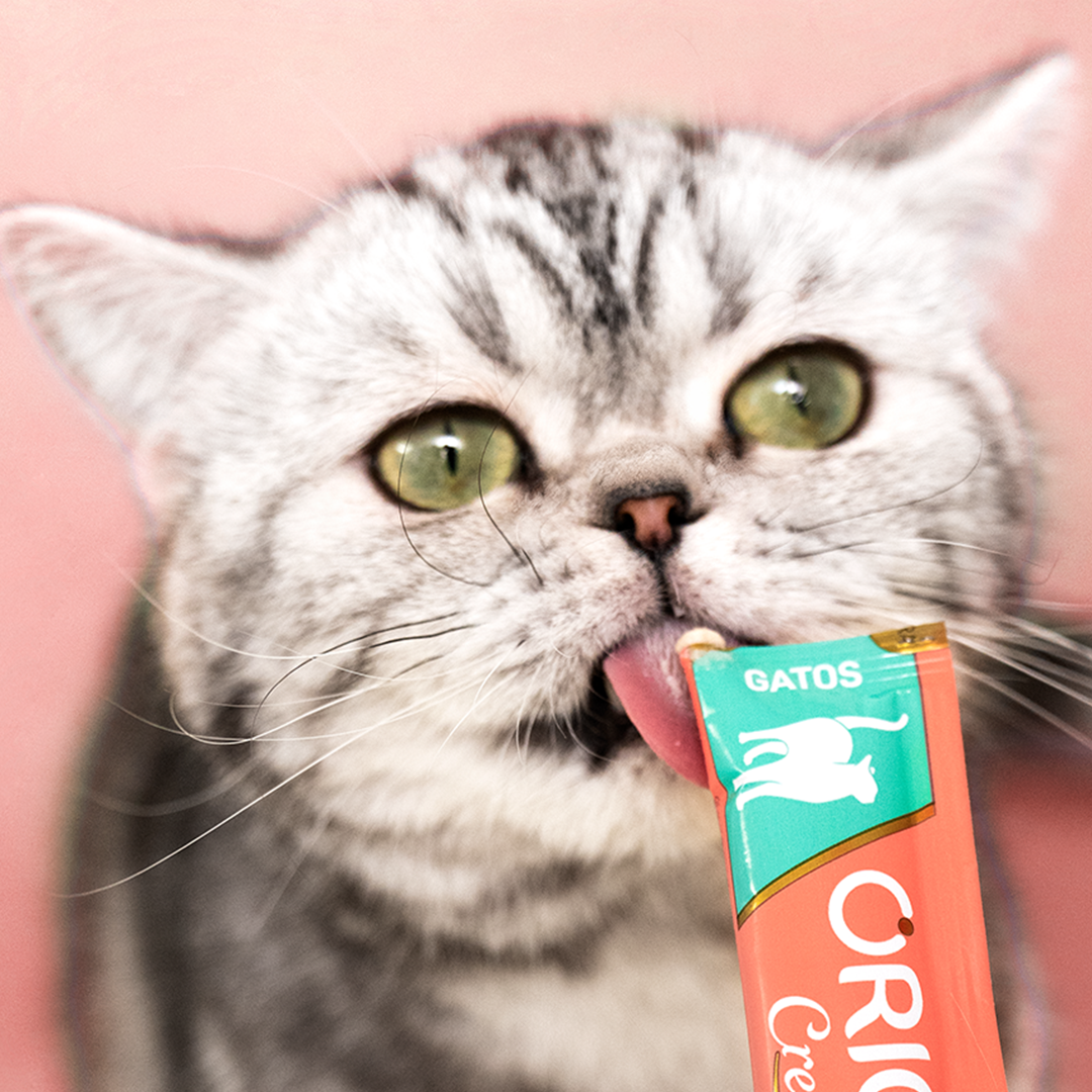Petisco para Gatos em Tubinho - Creminho - Origens