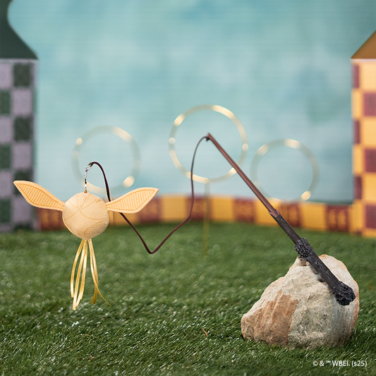 Varinha para Gatos Harry Potter