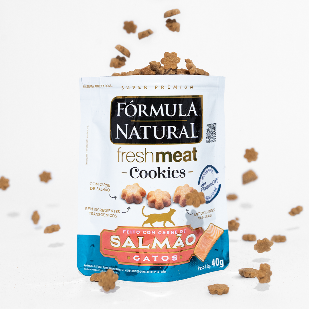 salmão