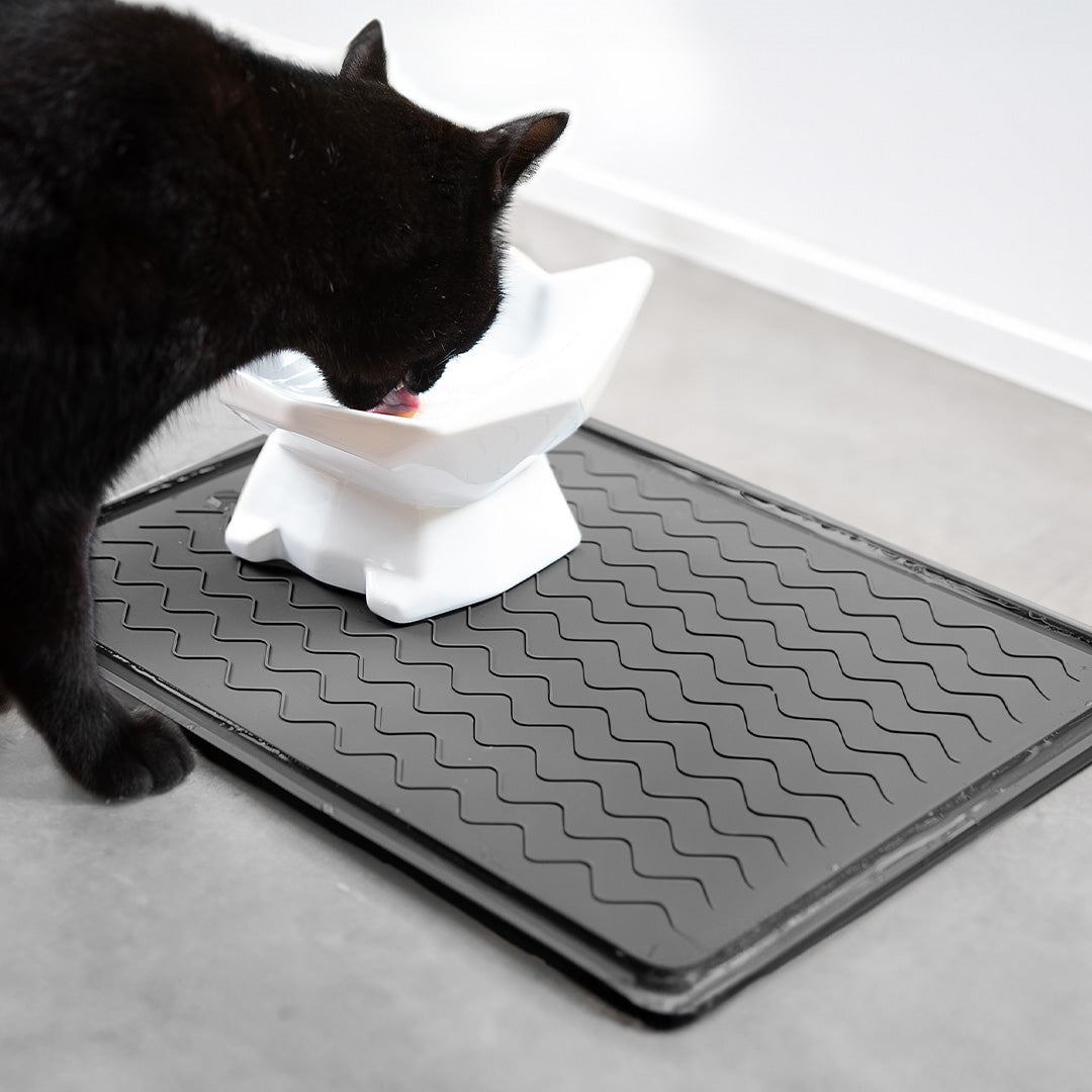 Jogo americano de PVC para gato preto conjunto de 1, gatos pretos fofos jogo  americano de vinil tecido resistente ao calor fácil de limpar tapete de  mesa de PVC lavável antiderrapante para