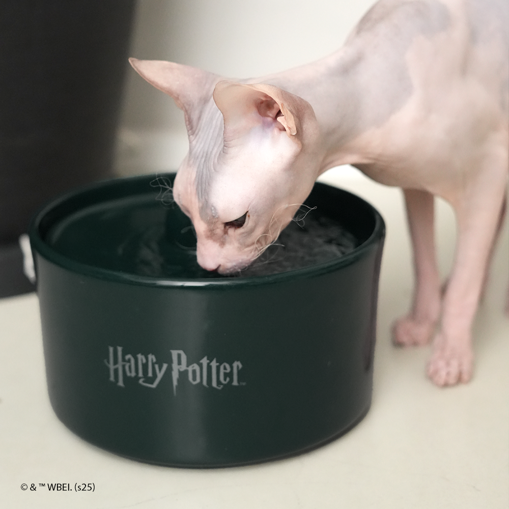 fonte de água sonserina