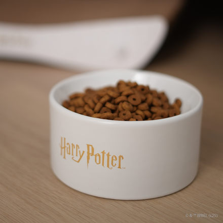 toti harry potter