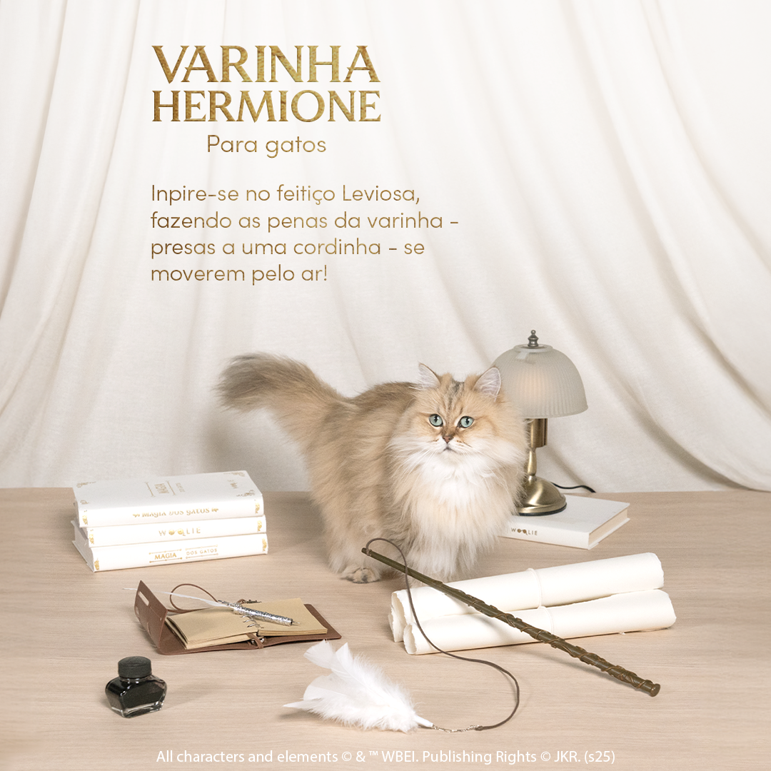 Pontas extras para Varinhas (refis)