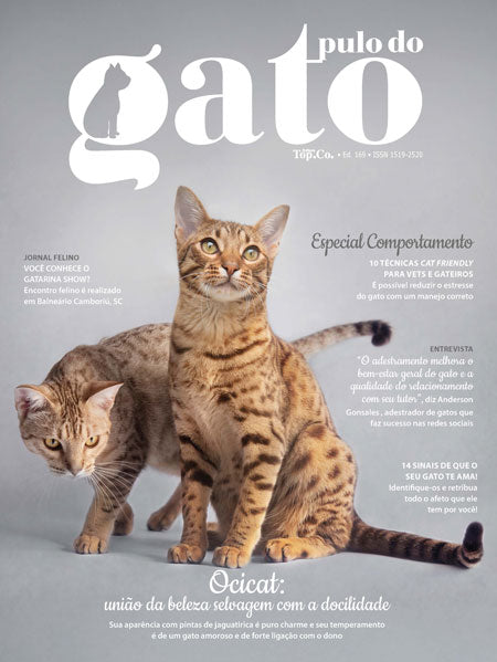 Revista Pulo do Gato