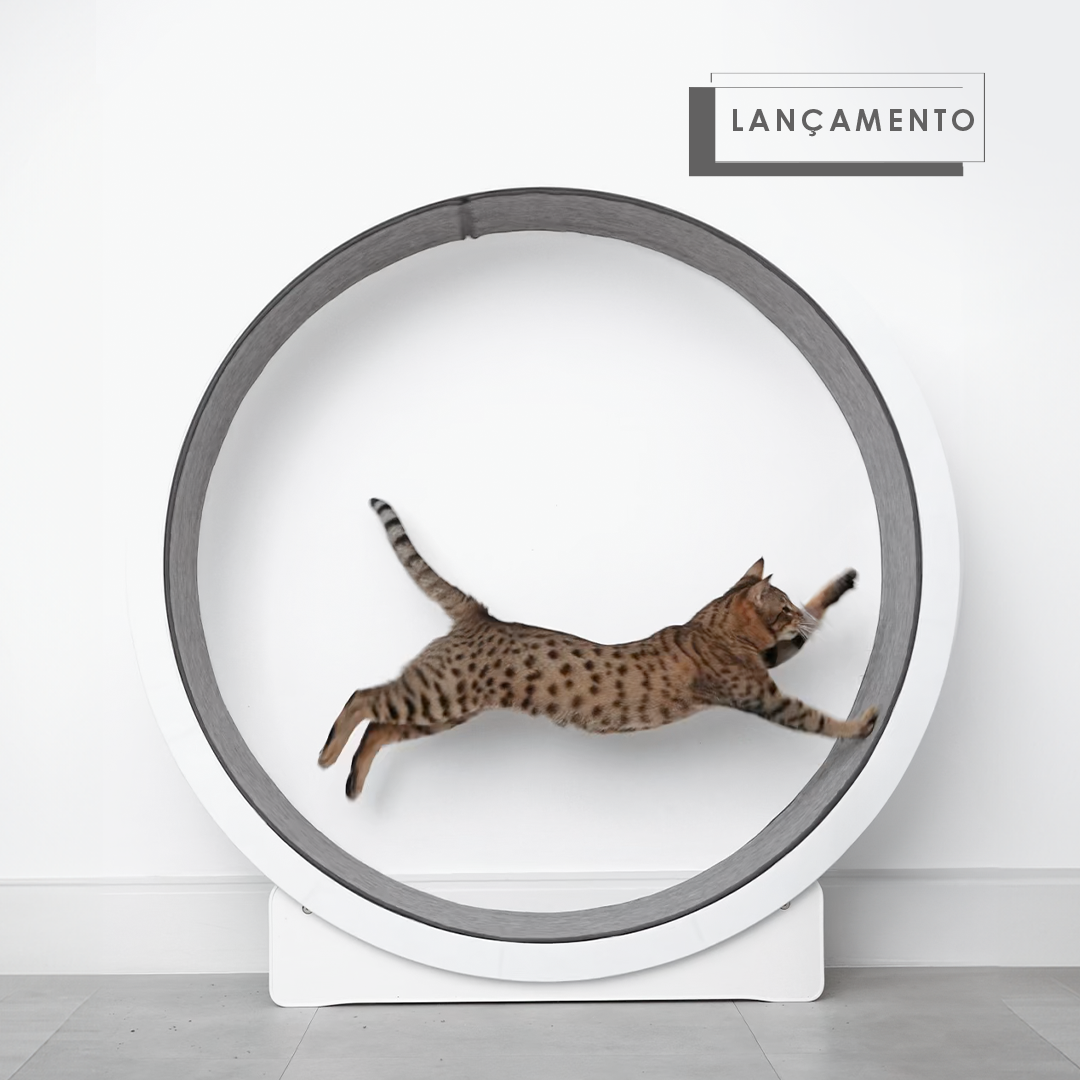 Roda Ergonômica para Gatos - RUNNER Cat Wheel – Woolie